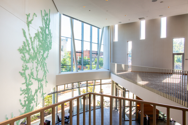 Oberlin Lobby Overlook